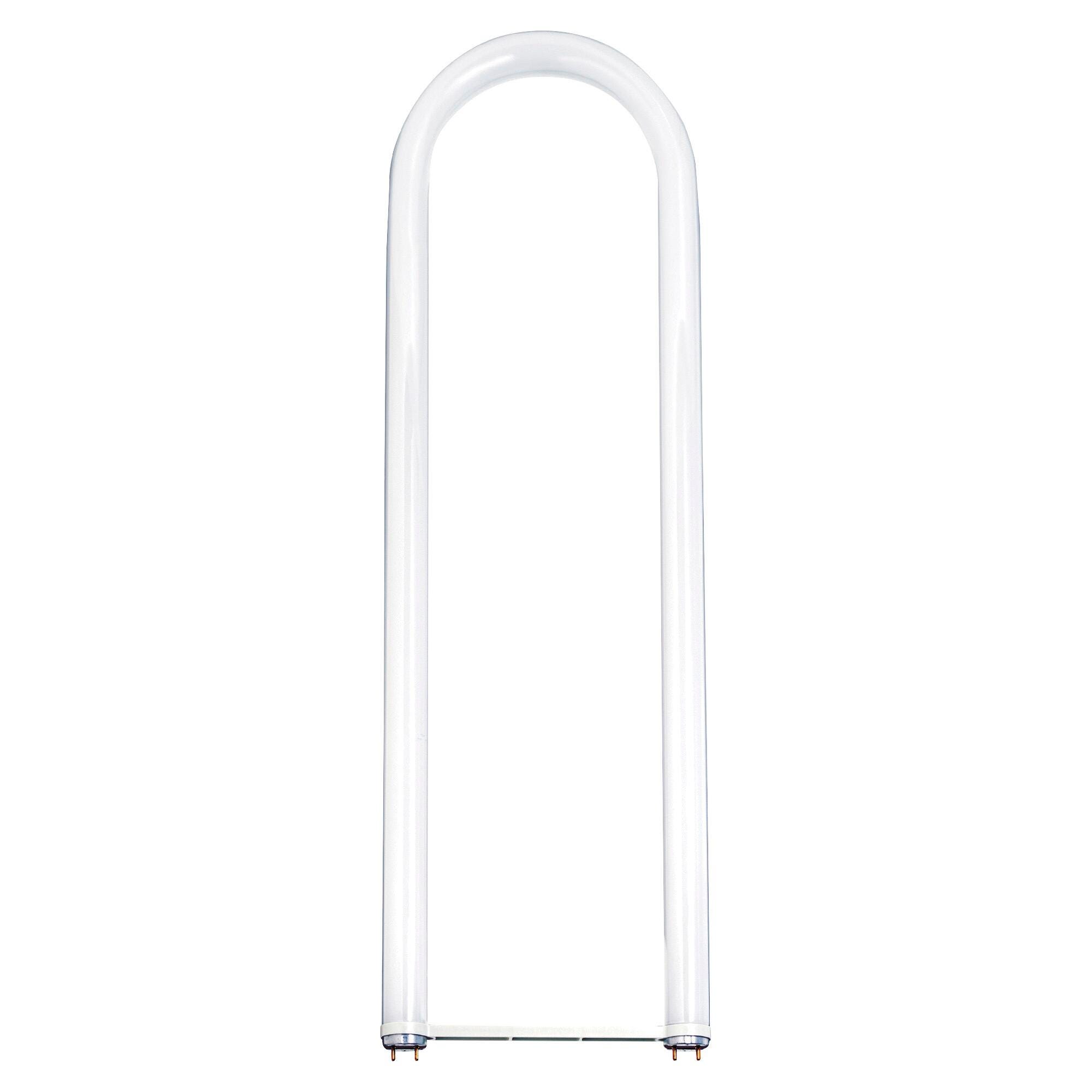 Light Bulbs, Item Number 1498333